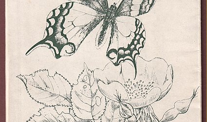 Jiří Švengsbír. Grafika.