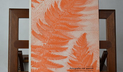 Fotografie vidí povrch.