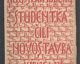 Studentka čili novostavba.