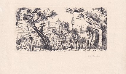 Florencie ze zahrady Boboli.