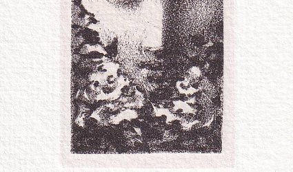 Dívčí tvář obklopená kytičkami.