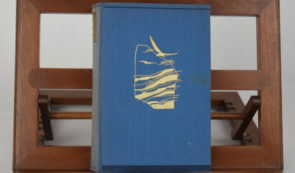 Dvacet let se roste...