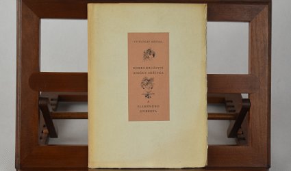 Dobrodružství Aničky skřítka a slaměného Huberta.