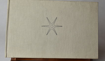 Praha panoramatická.