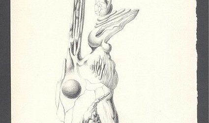 Stín mých varhan se podobá ledňáčkovi.