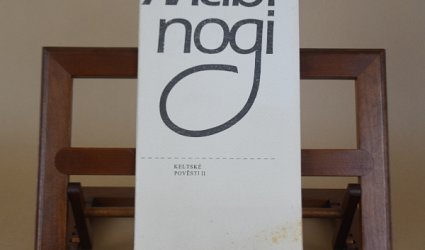 Mabinogi. Keltské pověsti II.