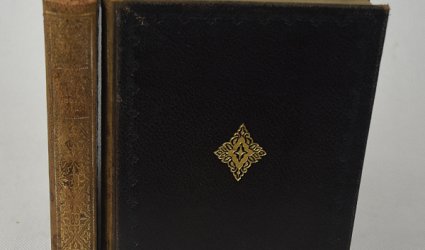 Rhoda Flemingová. Díl I. + Díl II.