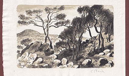 Pf. 1963 Jaroslav Pergl. Skály v lese.