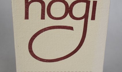 Mabinogi. Keltské pověsti IV.