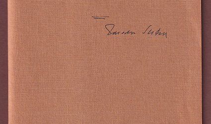 Nové zámecké schody.