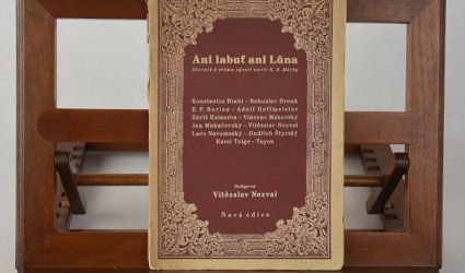 Ani labuť ani Lůna.