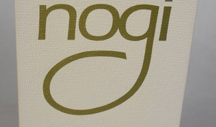 Mabinogi. Keltské pověsti III.