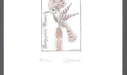 Zpívej píseň, Hoopoe.