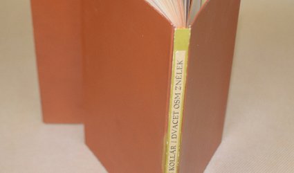 Z lyricko-epické básně Slávy dcera od Jana Kollára. Dvacet osm znělek.