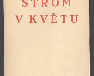 Strom v květu.
