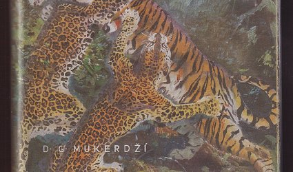 Za Kárím v indické džungli.