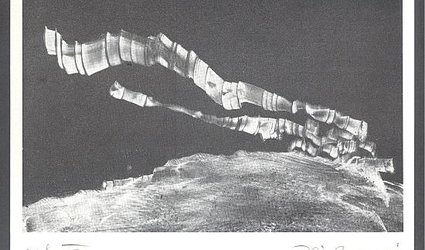 p.f. 85 Reichmannovi.