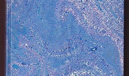 Příručka ke zkoušce tovaryšské (k závěrečné zkoušce učňovské) pro kandidáty odboru knihařského, kartonážnického, pouzdrařského a linkovačského.