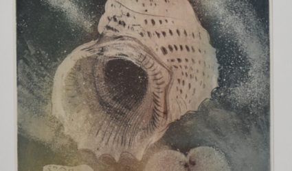 Z cyklu Vesmír lastur.