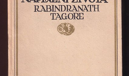 Sádhaná. Naplnění života.