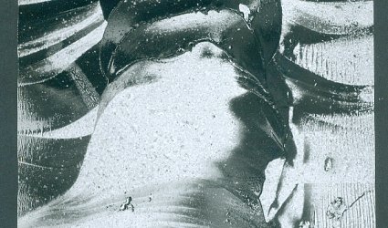 pf 1979. Reichmannovi.