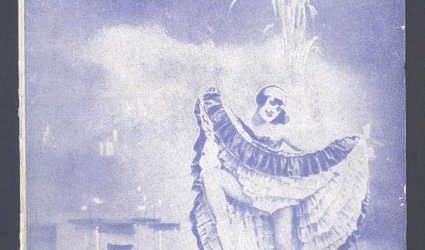 Menší růžová zahrada.