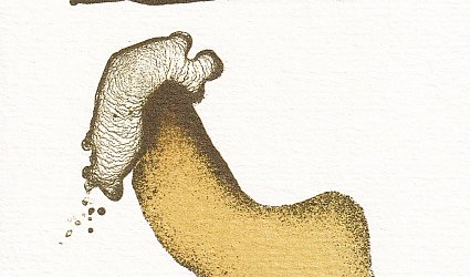 PF 2008. Vladimír Suchánek.