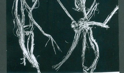 pf 78. Reichmannovi.