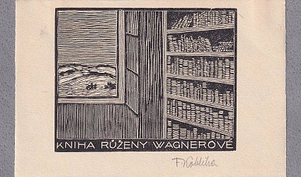 Kniha Růženy Wagnerové. Kout knihovny.