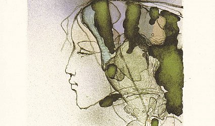 PF 2013. Vladimír Suchánek.