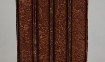 Mabinogi. Keltské pověsti  I., II., III., IV.