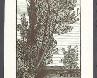 Exlibris Dr. Ebba Jahnová. Stromy.