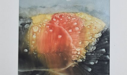 Krajiny pana Dalího.