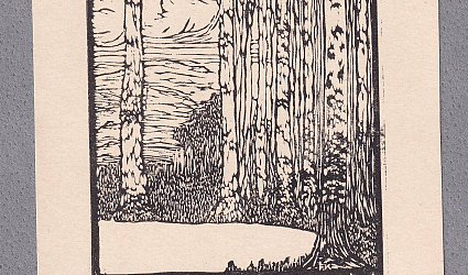 Kniha Matyldy M. Skupina bříz.