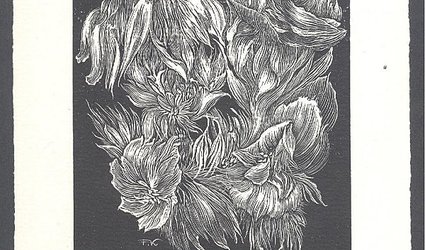 Ex Libris Dr Emilie Zděnovcová. Imaginární květy.