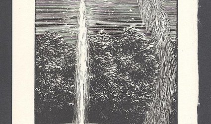 Ex musicis Julie Fučíková. Pták letící kolem vodotrysku v nočním parku.