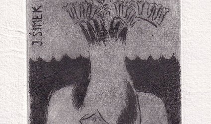 J. Šimek. Rukavice a váza s květy.