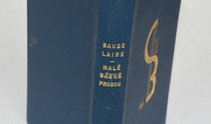 Malé básně prosou.