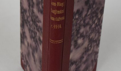 Rozjímání samotářova r. 1916.