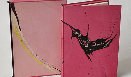 Dějiny atentátu v Čechách a na Moravě.