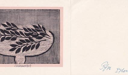 Pf 76 Dr. Horáková.