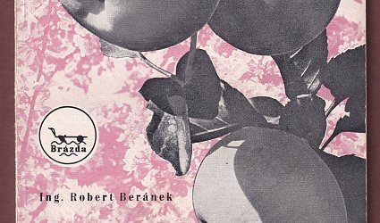 Oplozování stromů - bohatá sklizeň.