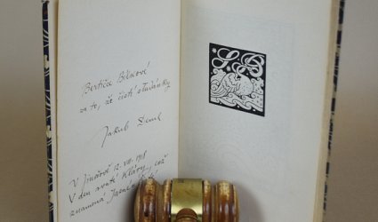 Pohádka o Caru Saltánovi a jeho synu.