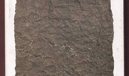 HOST 1/94 z února na březen.