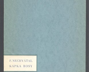 Kapka rosy.