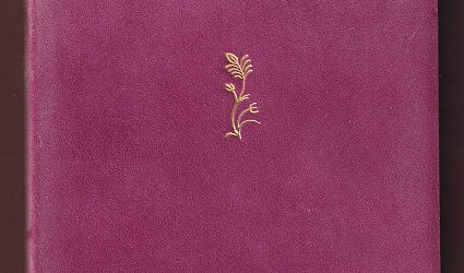 Balady Jiřího Wolkera.