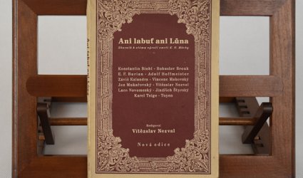 Ani labuť ani lůna.