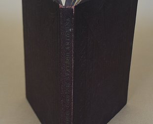 Pokušení svatého Antonína.