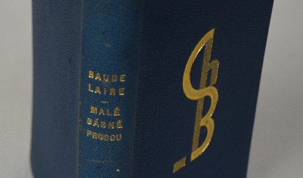 Malé básně prosou.