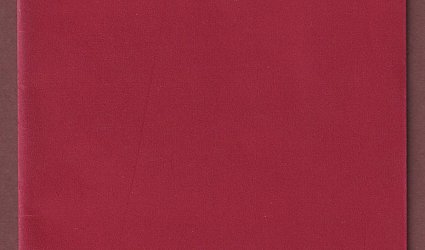 Romance o duši člověka Žura.